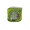 圖片 1