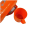 圖片 1